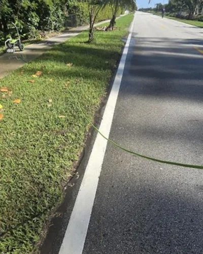 pressure-washing-davie-fl